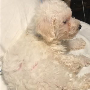 Meet your Posher, Luz